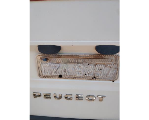 Foto de Peugeot Boxer GCASA AMB1 12/13